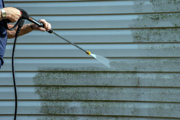 Best Exterior Home Cleaning  in Homeland, GA