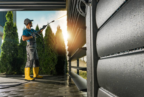 Best Roof Pressure Washing  in Homeland, GA