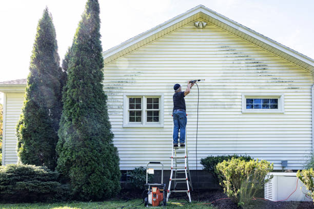 Best Best Pressure Washing Companies  in Homeland, GA